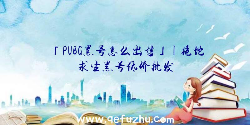 「PUBG黑号怎么出售」|绝地求生黑号低价批发